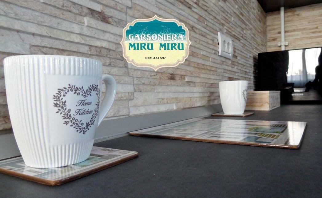 Garsoniera Miru Miru Apartment Năvodari Exterior foto